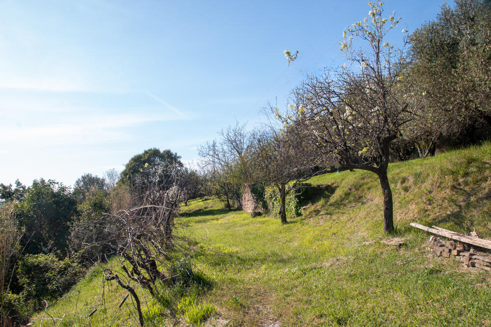 Дом в Портороже, Словения, 110 м² - фото 10
