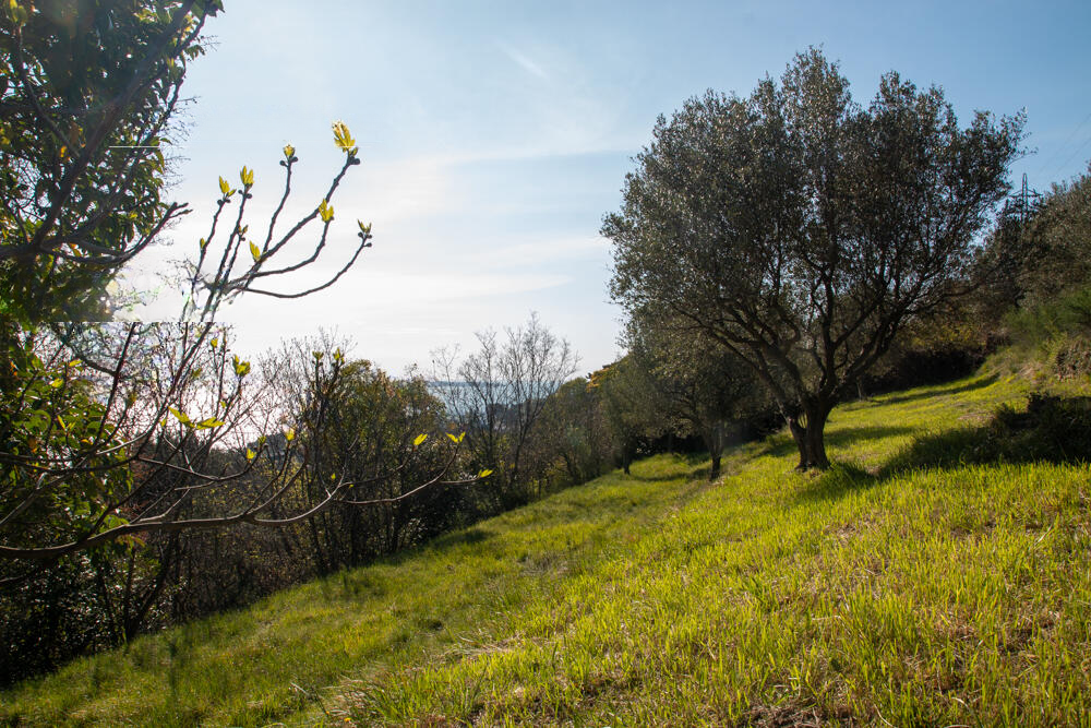 Дом в Портороже, Словения, 110 м² - фото 12