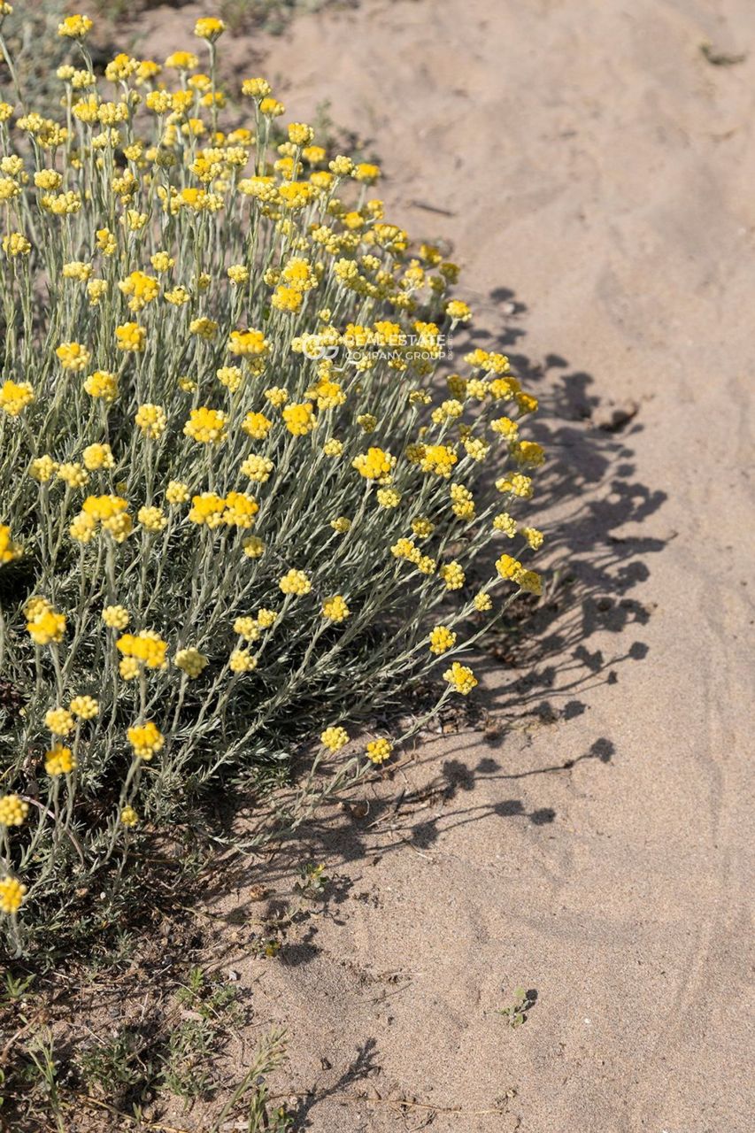 Квартира в Барселоне, Испания, 122 м² - фото 18