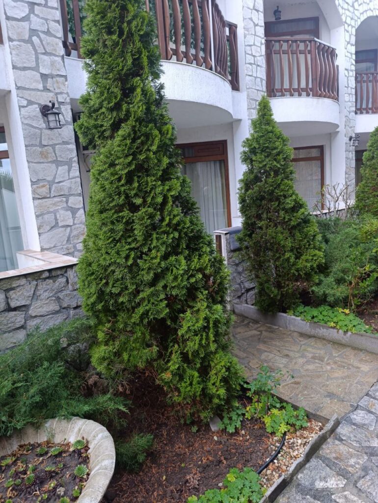 Студия в Святом Власе, Болгария, 40 м² - фото 10