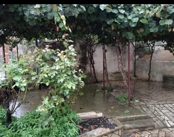 Дом в Марчане, Хорватия, 160 м² - фото 4