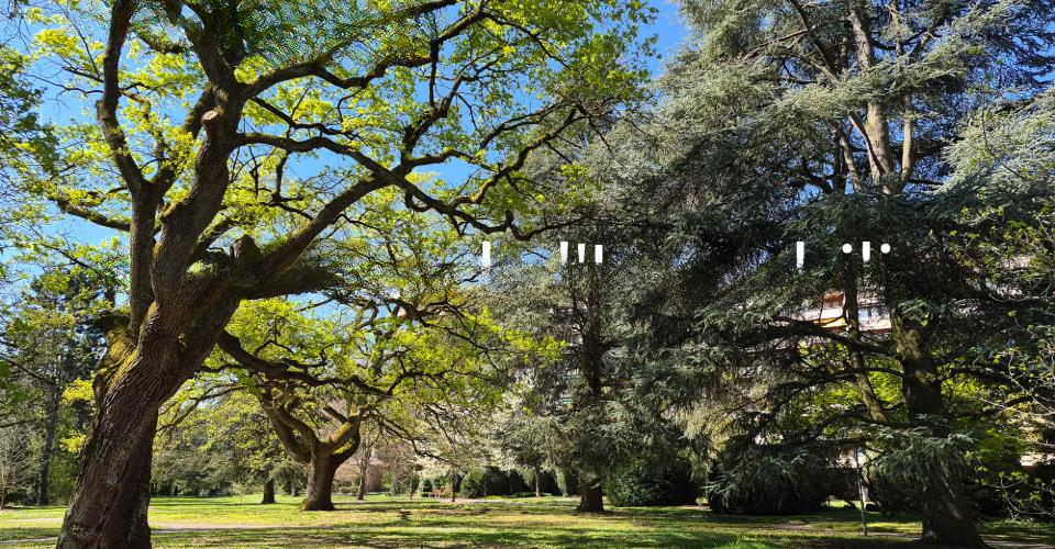 Квартира в Женеве, Швейцария, 225 м² - фото 2