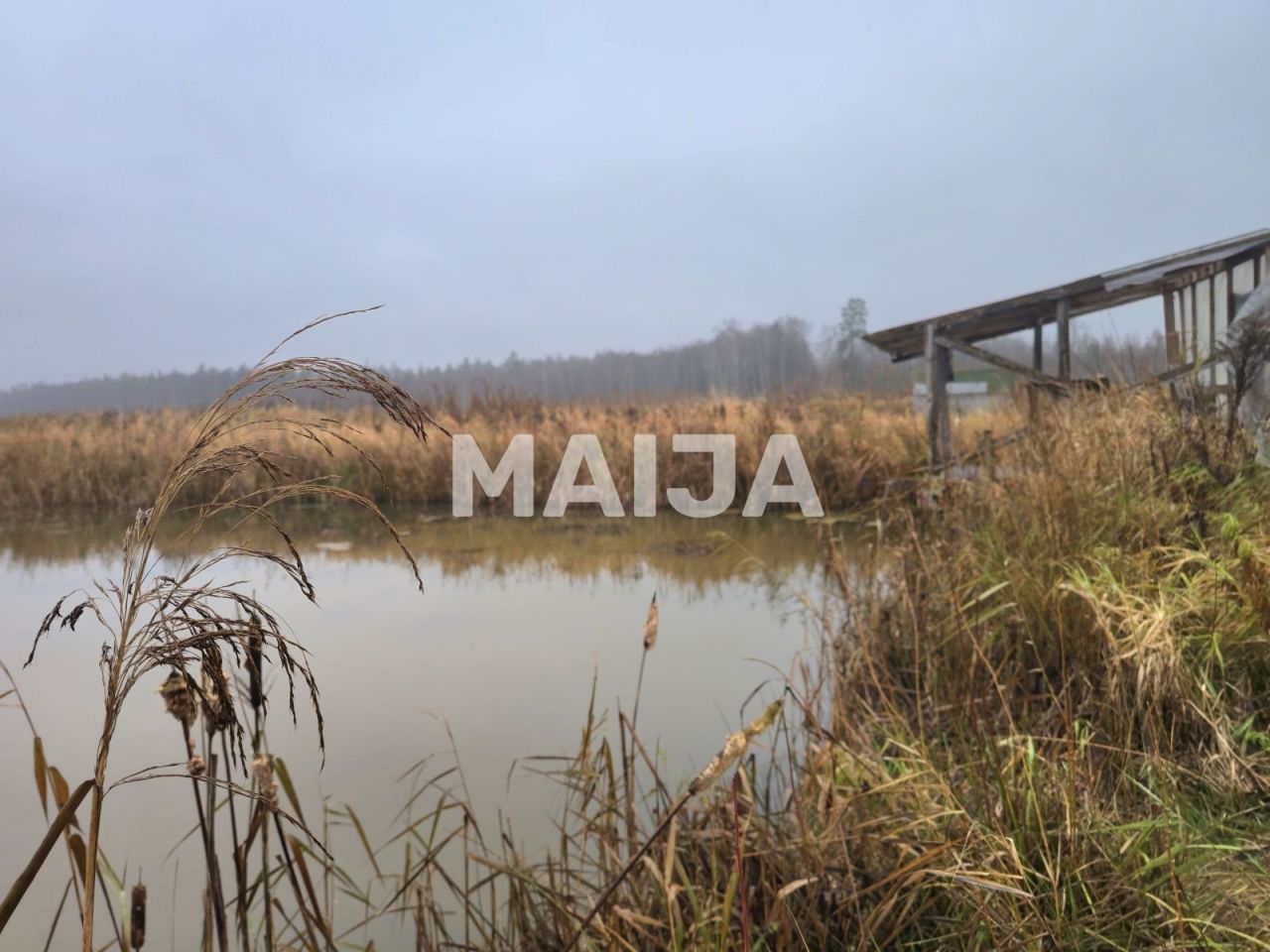 Земля Stelpe, Латвия, 532 300 м² - фото 2