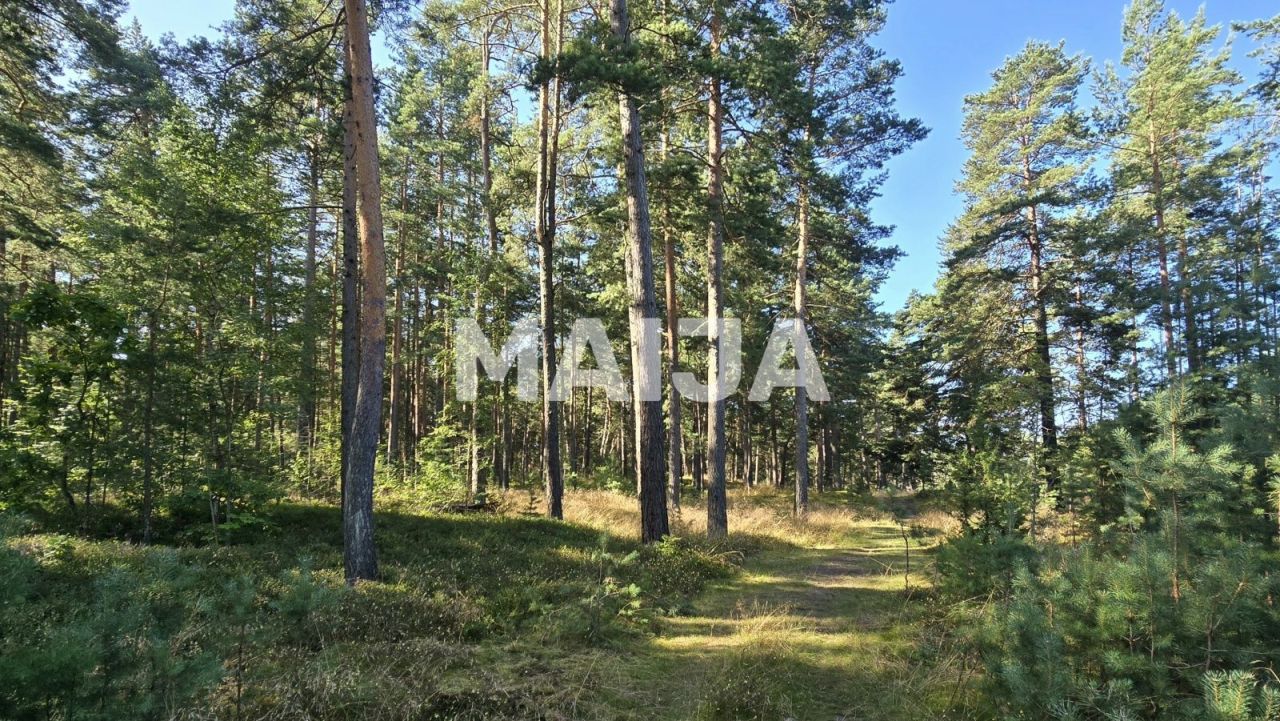 Земля Gauja, Латвия, 4 850 000 м² - фото 3