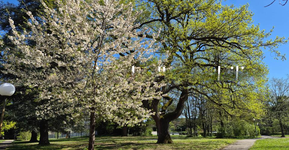 Квартира в Женеве, Швейцария, 225 м² - фото 3