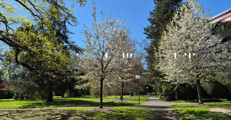 Квартира в Женеве, Швейцария, 225 м² - фото 4