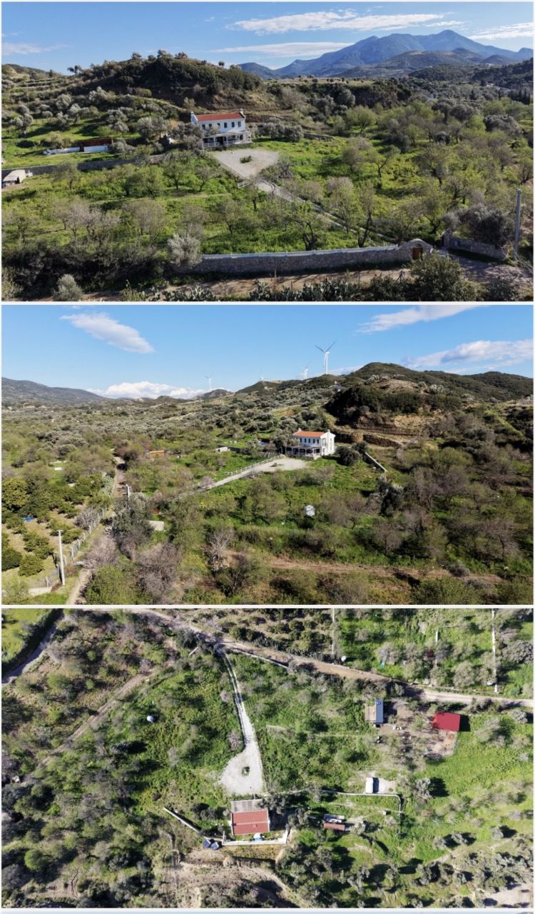 Земля в Датче, Турция, 12 500 м² - фото 7