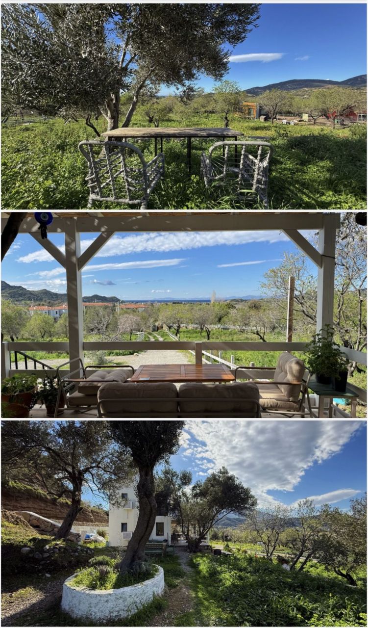 Земля в Датче, Турция, 12 500 м² - фото 8