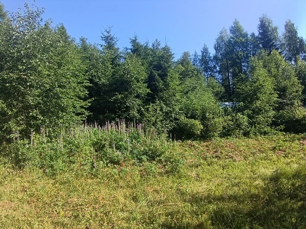 Дом в Иломантси, Финляндия, 55 м² - фото 16