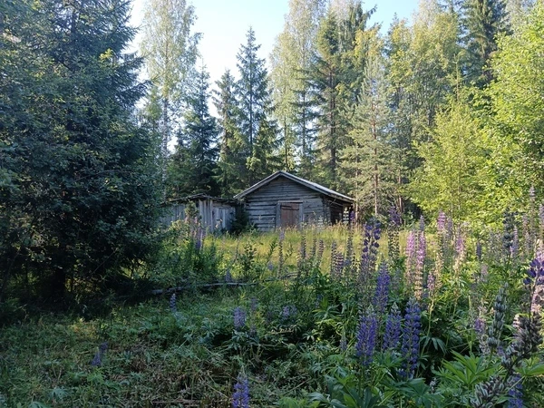 Дом в Иломантси, Финляндия, 55 м² - фото 17