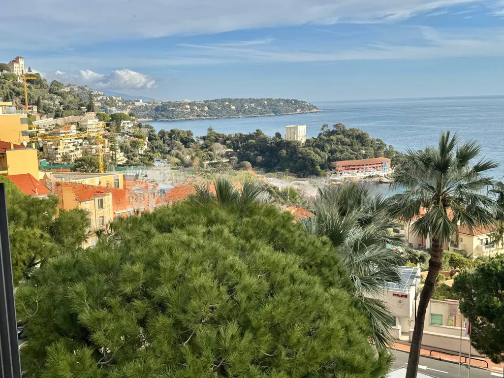 Квартира в Сен-Романе, Монако, 170 м² - фото 11