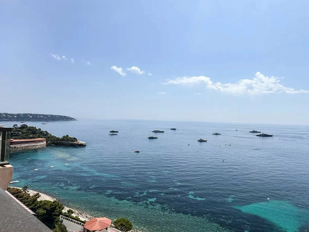 Квартира в Сен-Романе, Монако, 150 м² - фото 15