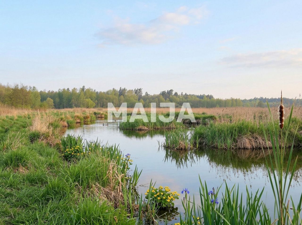 Земля Stelpe, Латвия, 532 300 м² - фото 1