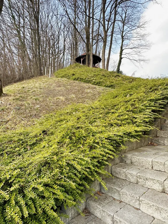 Дом в Рогашка-Слатине, Словения, 350 м² - фото 7