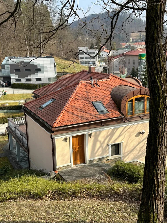 Дом в Рогашка-Слатине, Словения, 350 м² - фото 9