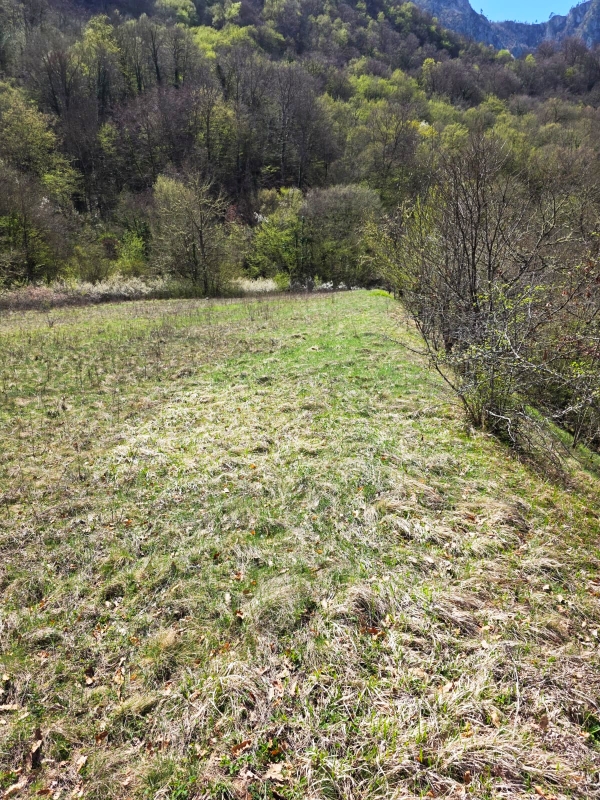 Земля в Плужине, Черногория, 2 651 м² - фото 3