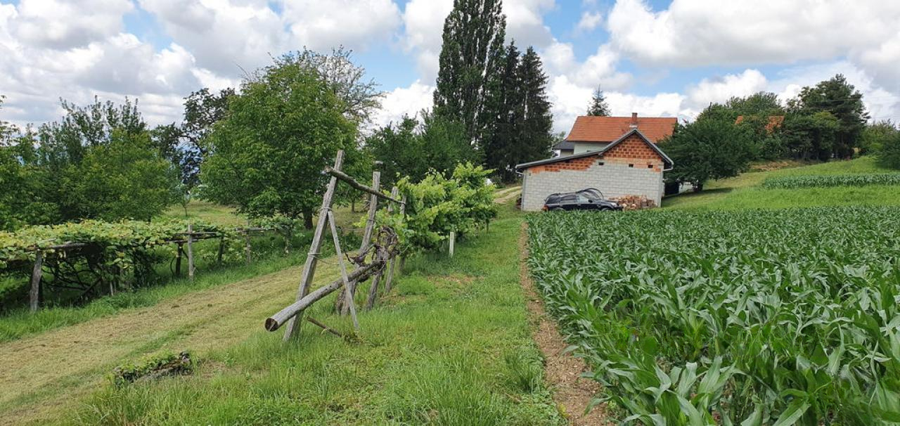 Квартира в Мариборе, Словения, 75 м² - фото 3