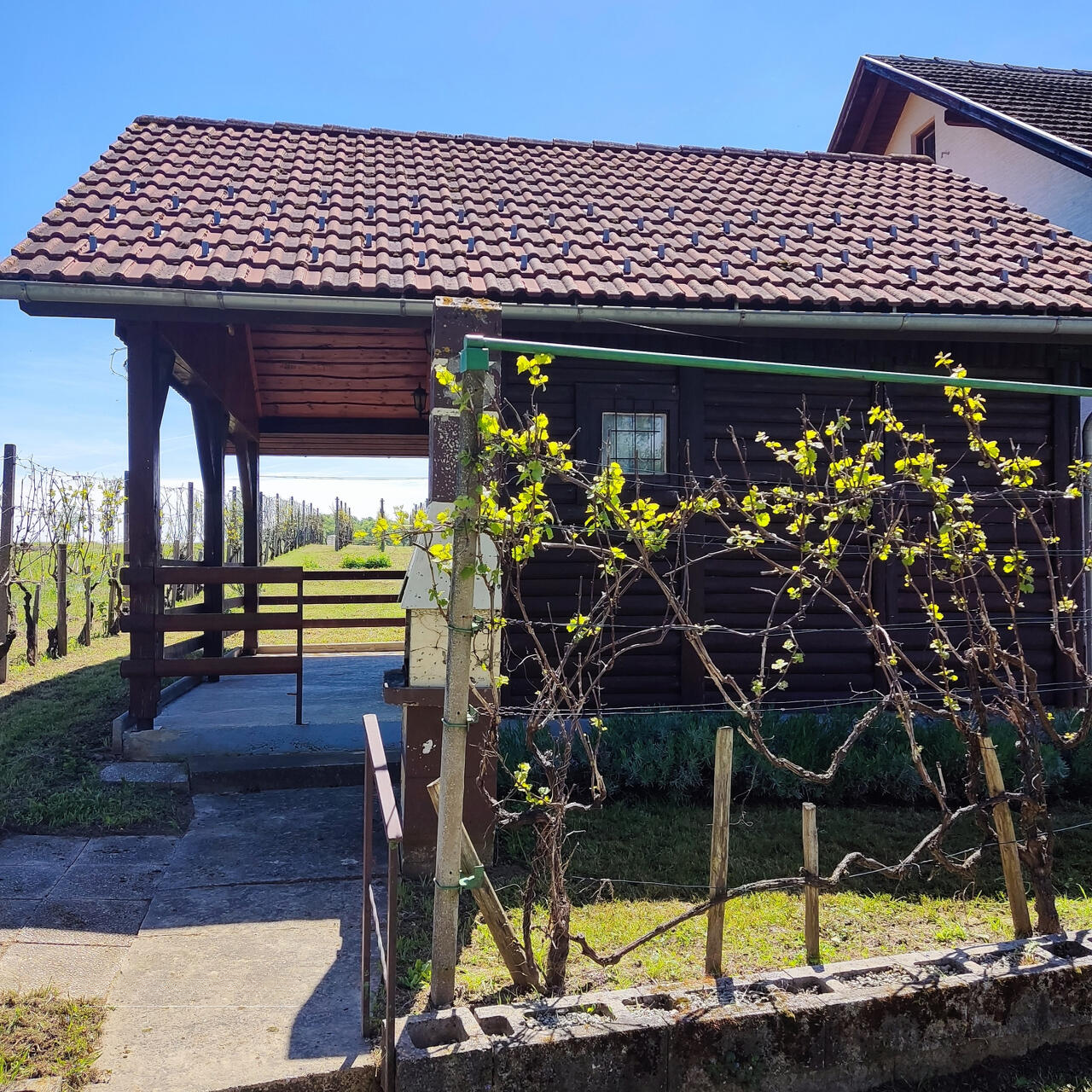 Ферма в Брежице, Словения, 900 м² - фото 3