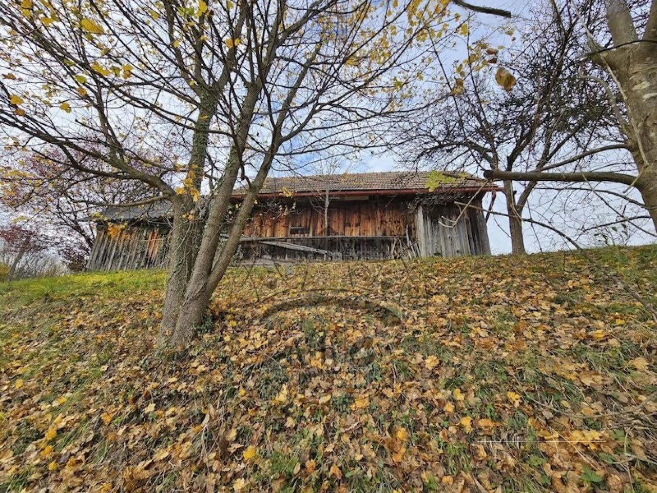 Квартира в Птуе, Словения, 43 м² - фото 3