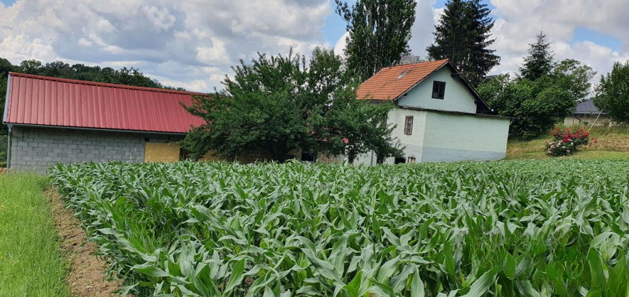 Квартира в Мариборе, Словения, 75 м² - фото 4