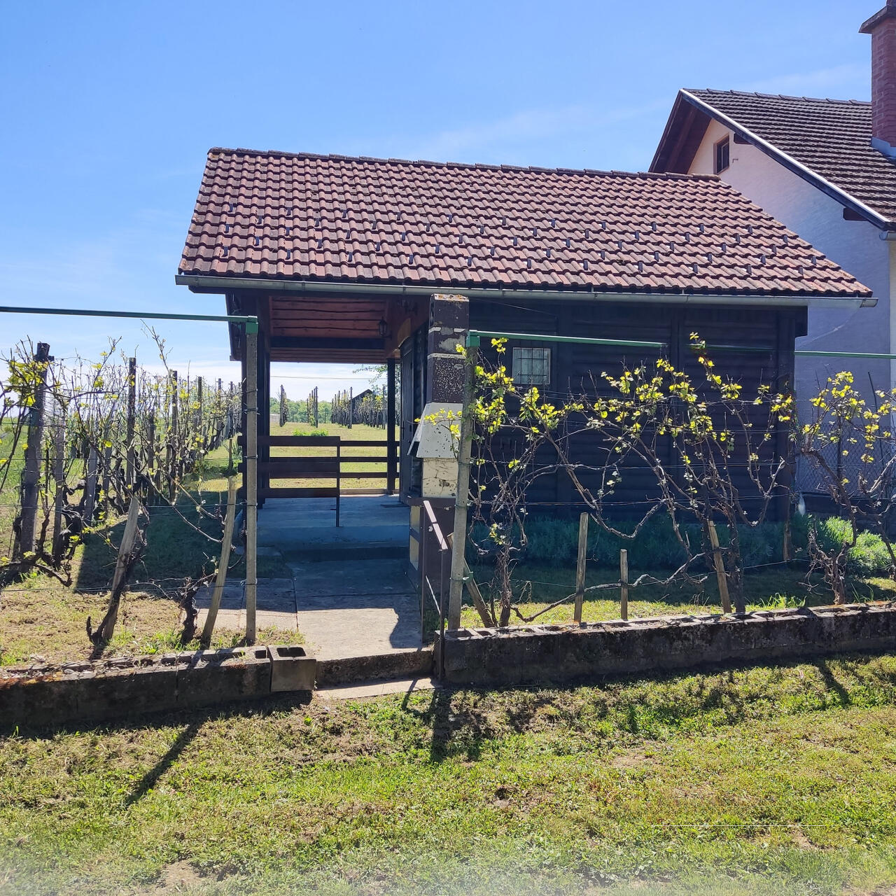 Ферма в Брежице, Словения, 900 м² - фото 4