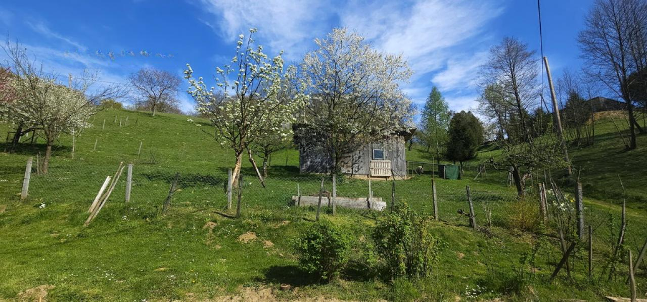 Ферма в Лютомере, Словения, 262 м² - фото 4