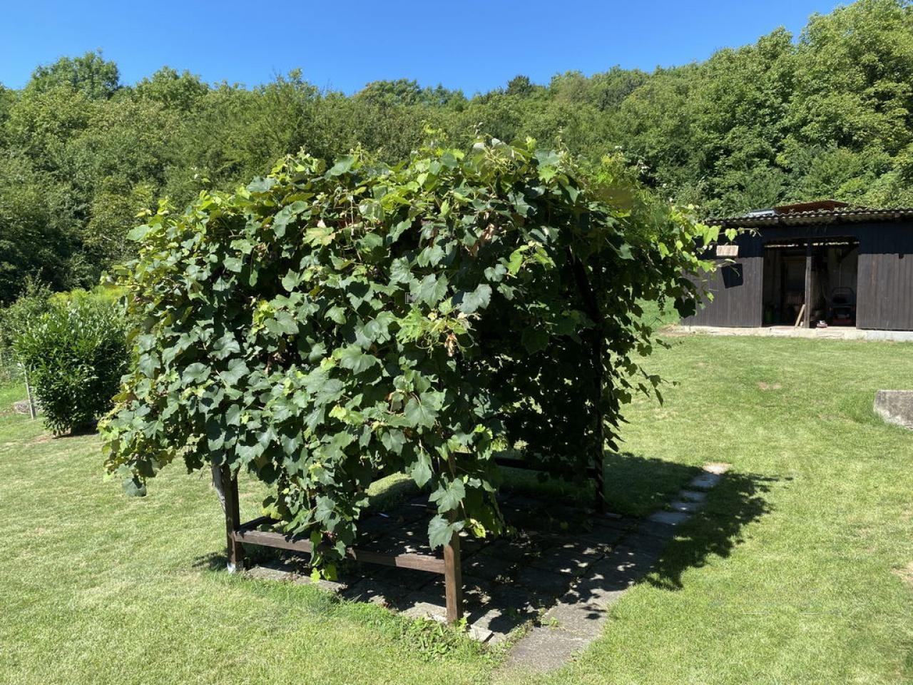 Квартира в Сподня Кунготе, Словения, 256 м² - фото 5