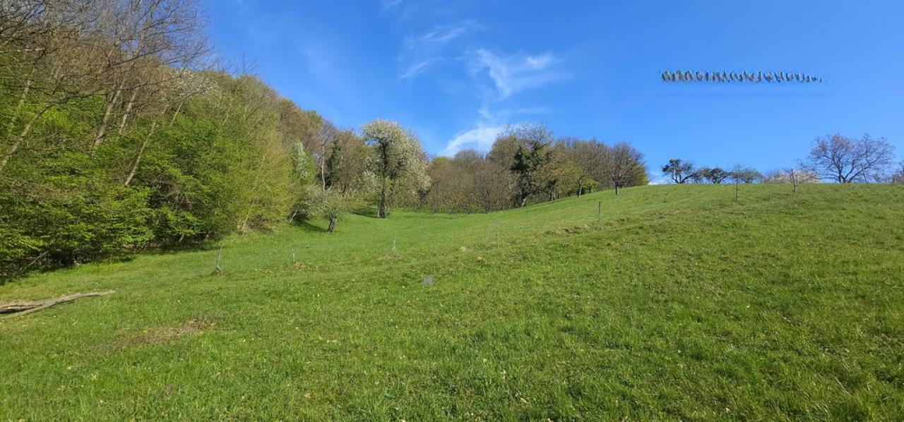 Ферма в Лютомере, Словения, 262 м² - фото 5