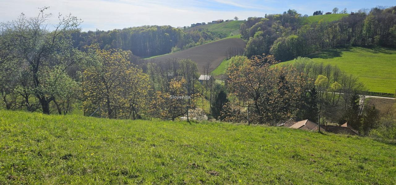 Ферма в Лютомере, Словения, 262 м² - фото 6