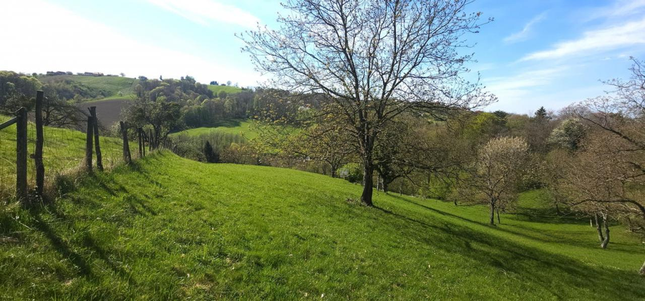 Ферма в Лютомере, Словения, 262 м² - фото 7