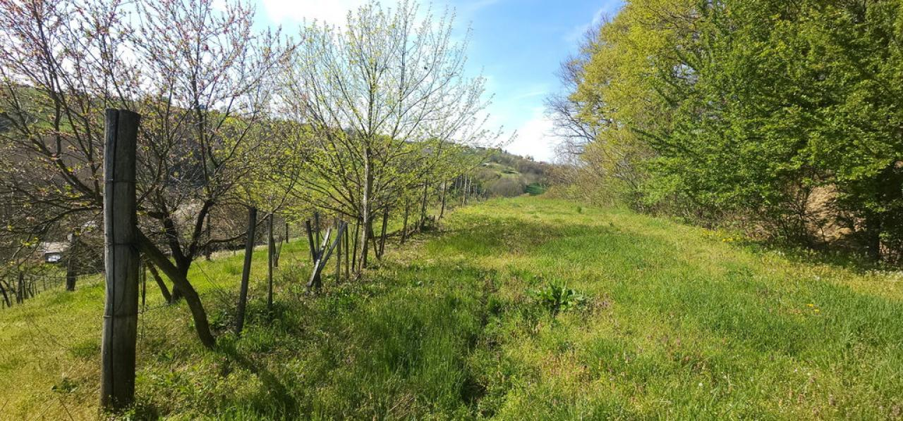 Ферма в Лютомере, Словения, 262 м² - фото 8