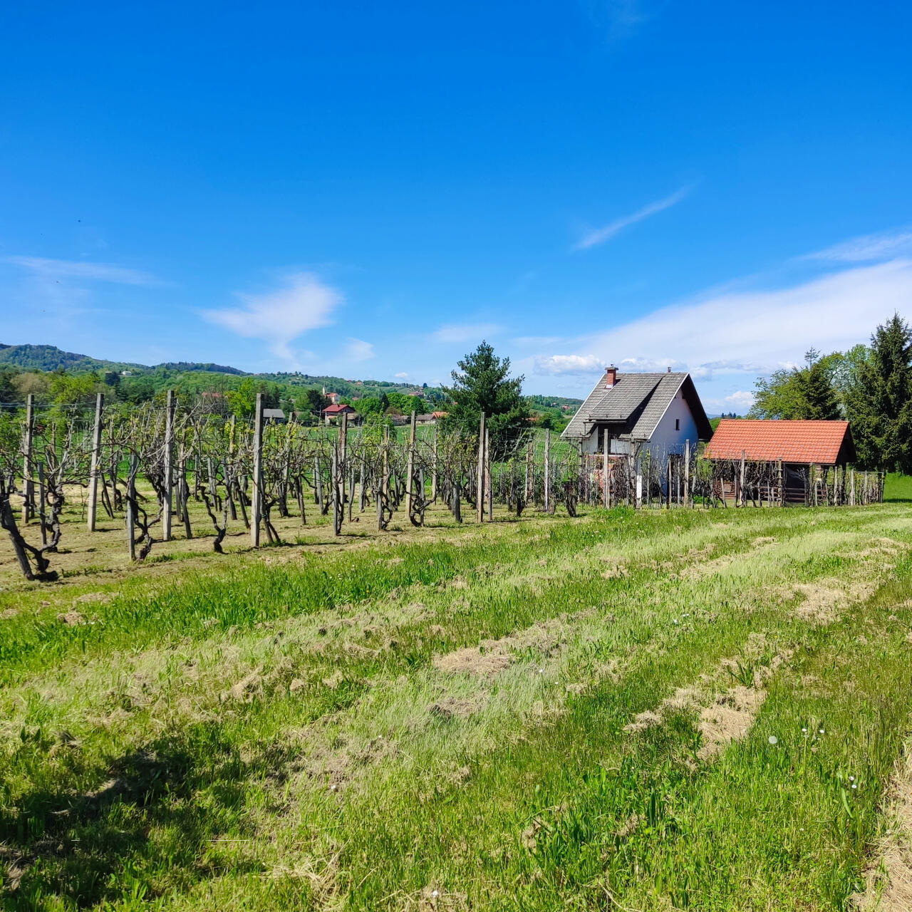 Ферма в Брежице, Словения, 900 м² - фото 9