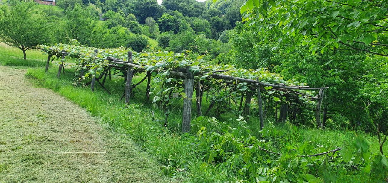 Квартира в Мариборе, Словения, 75 м² - фото 9