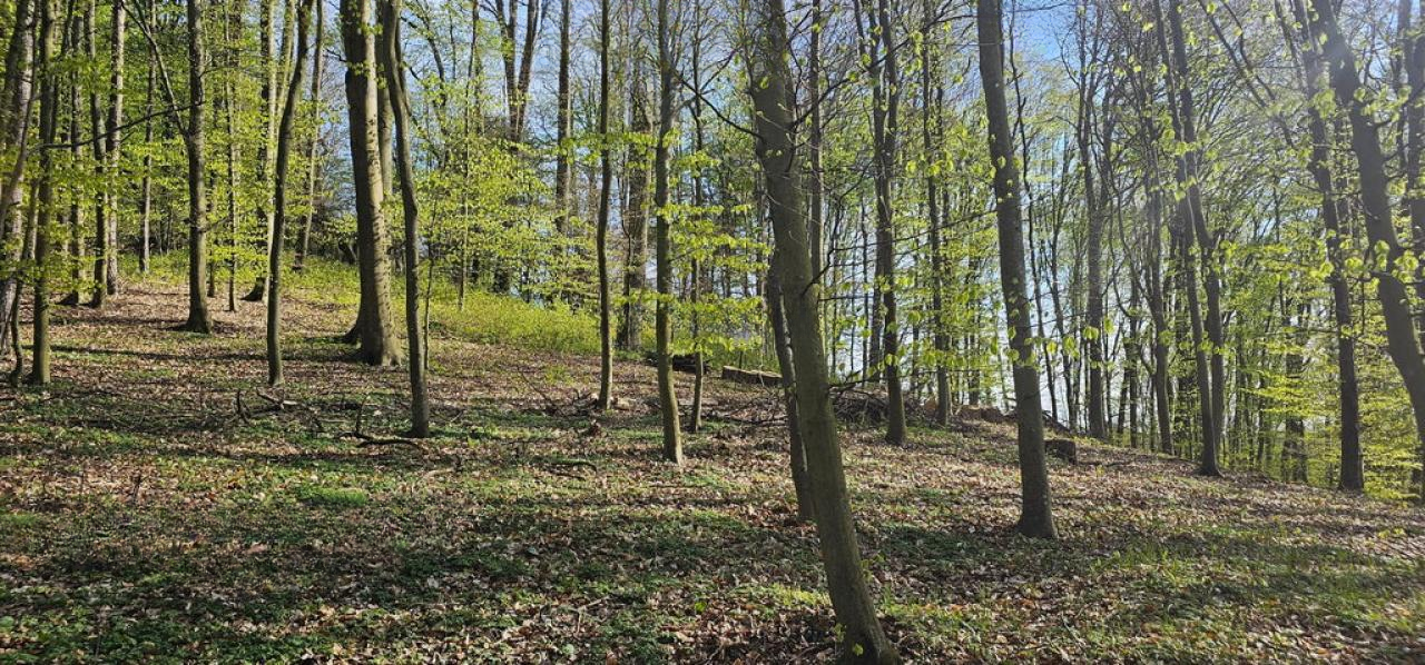 Ферма в Лютомере, Словения, 262 м² - фото 9