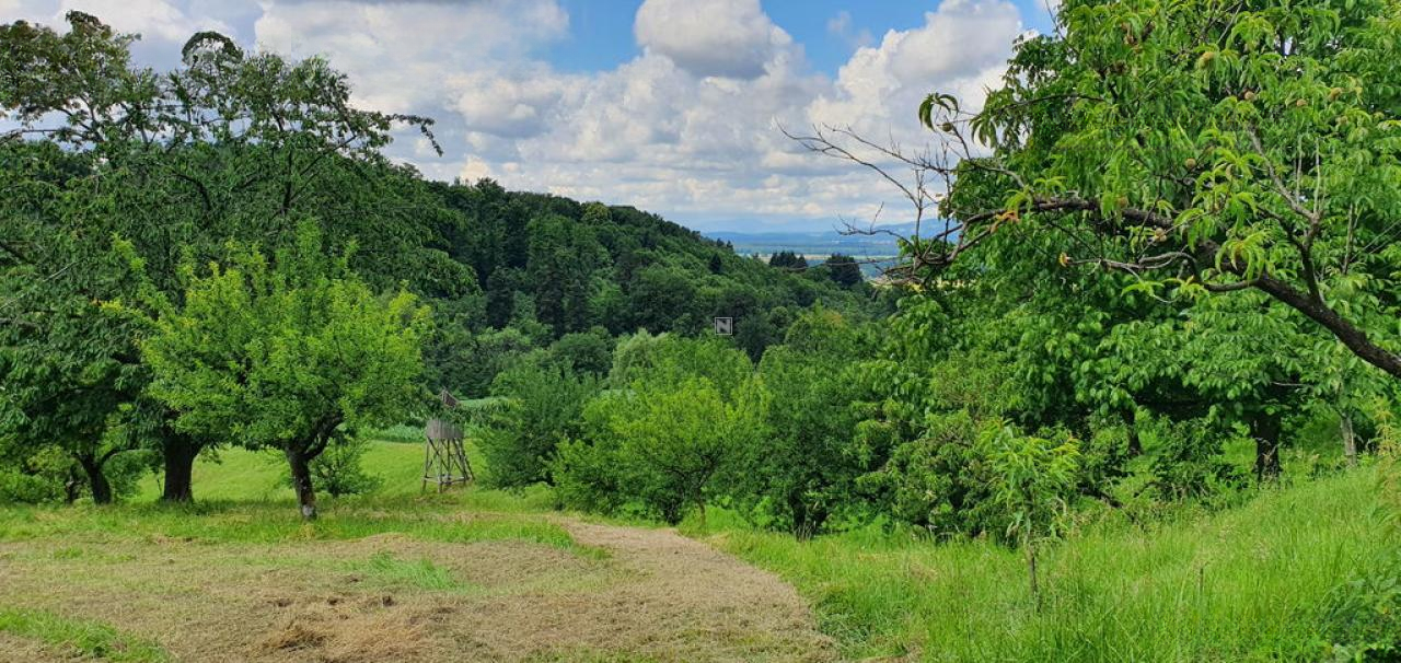 Квартира в Мариборе, Словения, 75 м² - фото 10