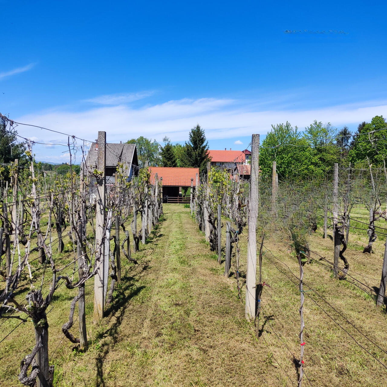 Ферма в Брежице, Словения, 900 м² - фото 10