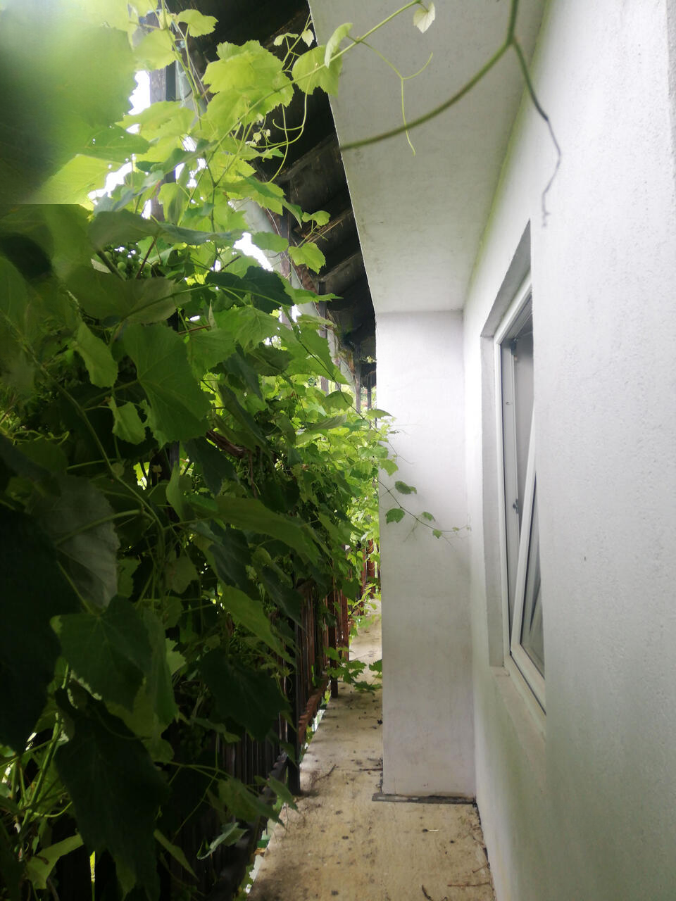 Квартира в Шмарье-при-Елшах, Словения, 154 м² - фото 13