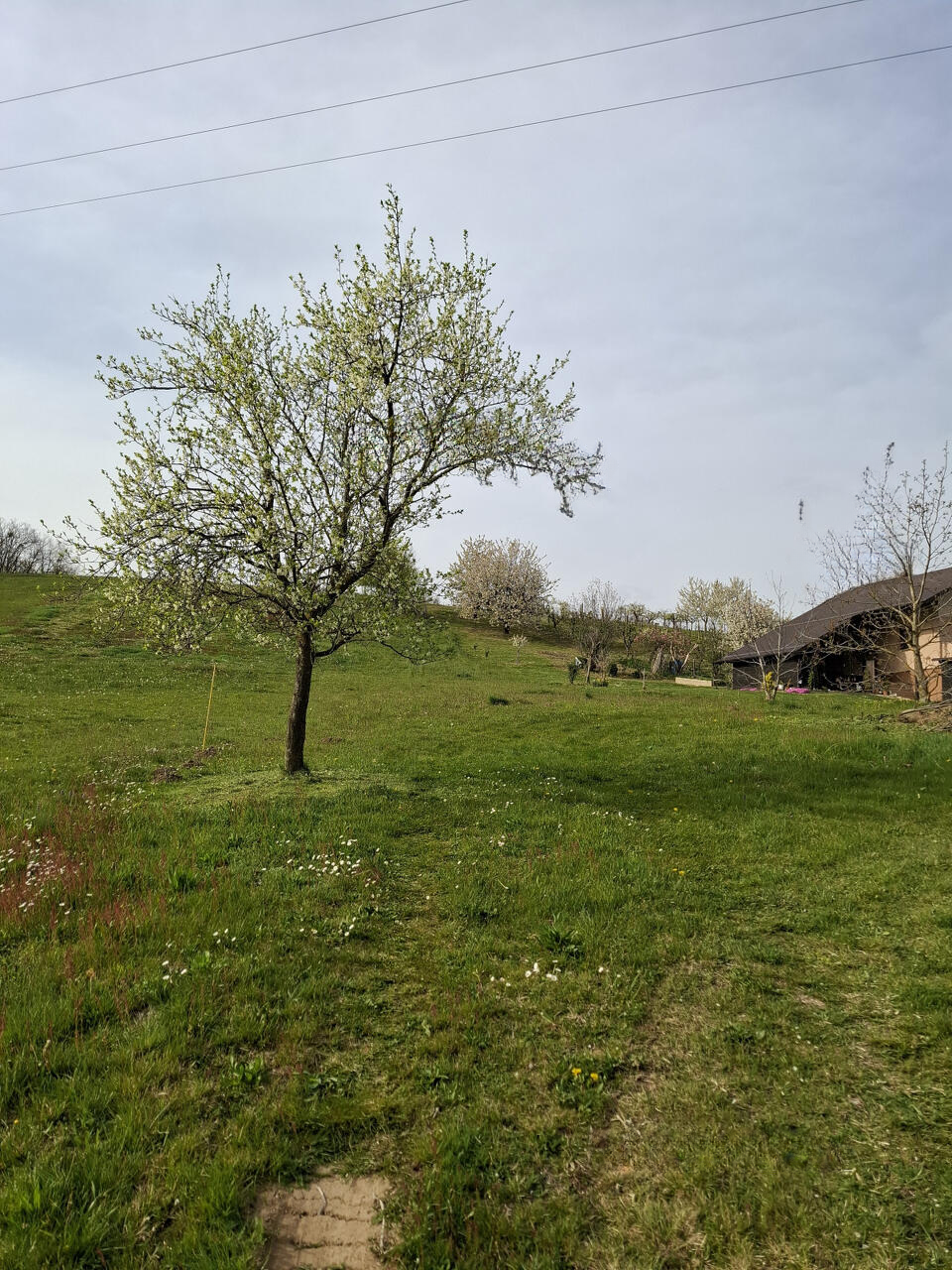 Квартира в Мурска-Соботе, Словения, 137 м² - фото 16