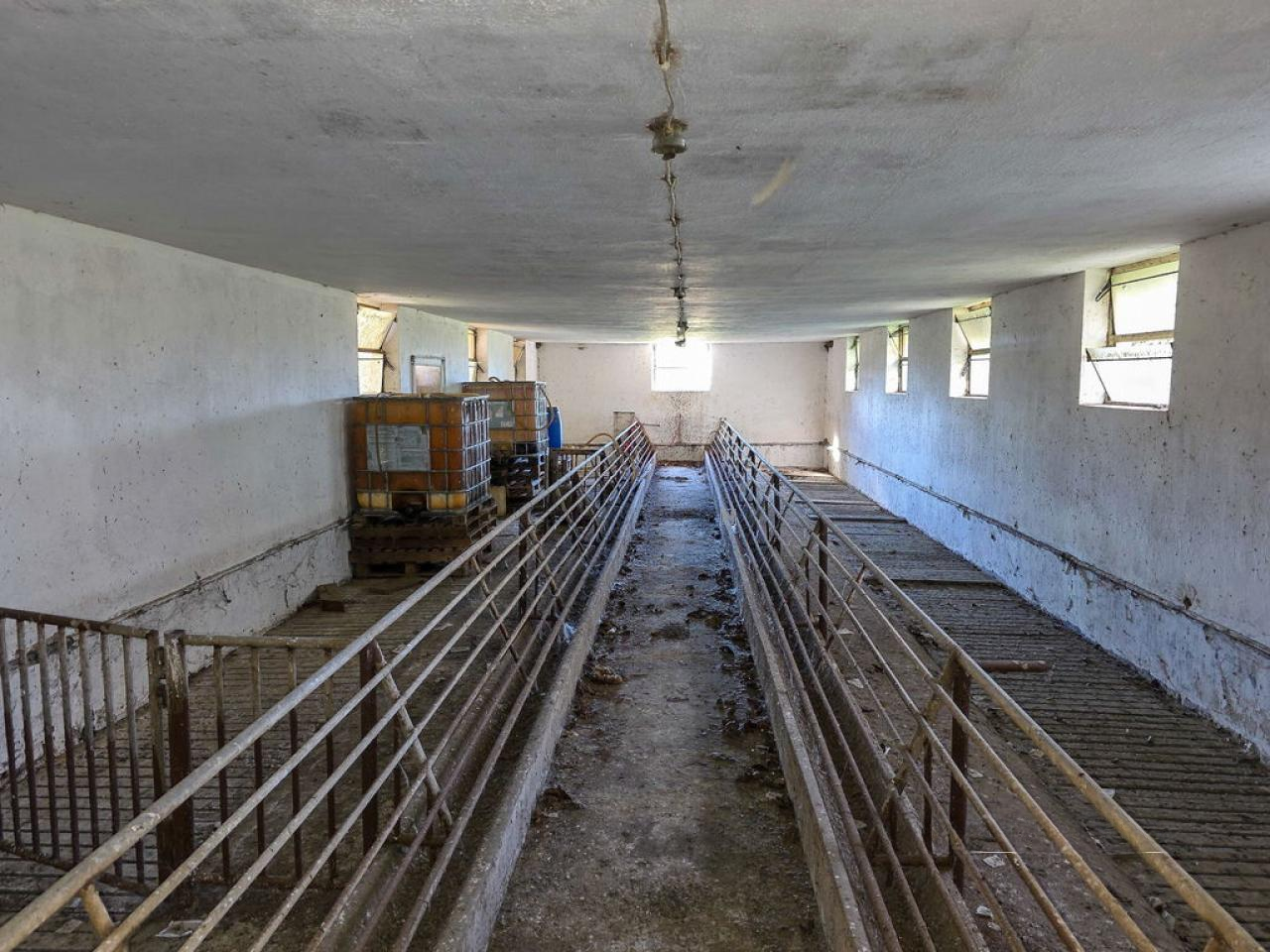 Квартира в Лютомере, Словения, 128 м² - фото 19