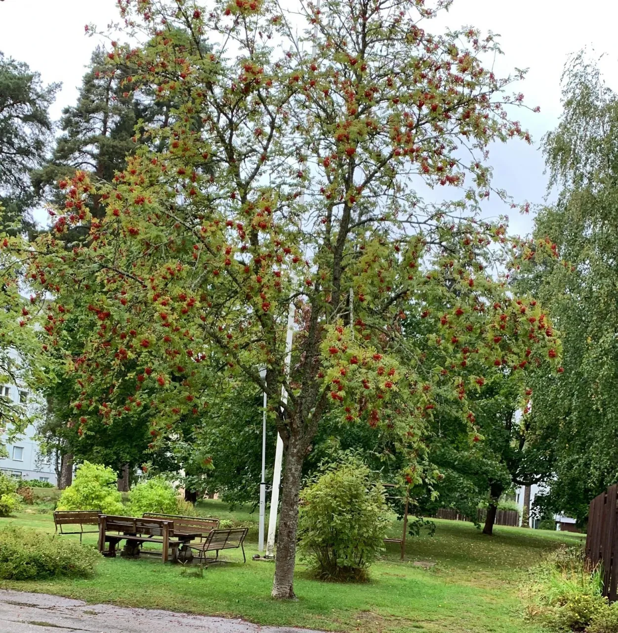 Квартира в Коуволе, Финляндия, 54.5 м² - фото 14