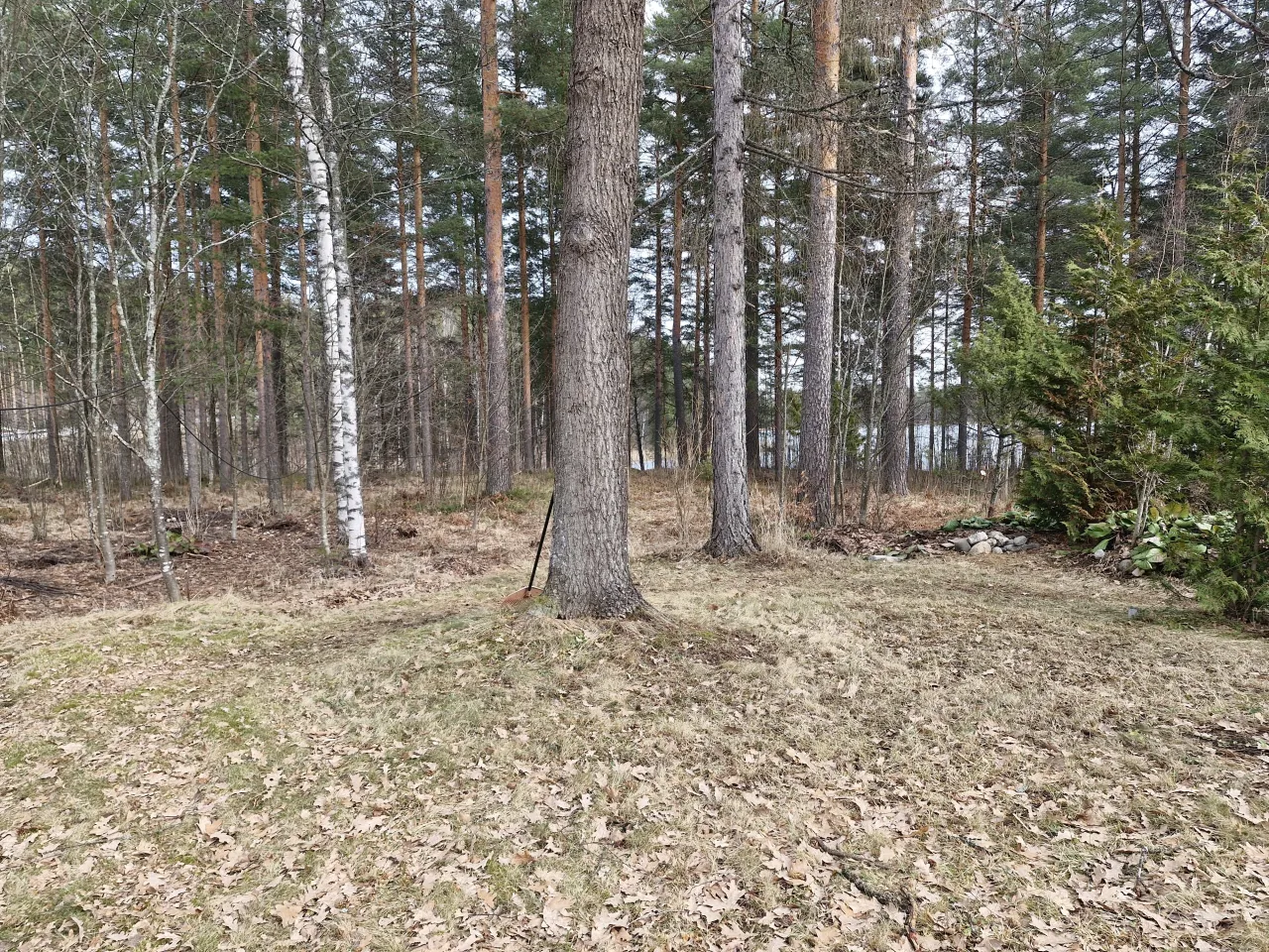 Таунхаус в Пункахарью, Финляндия, 50 м² - фото 16