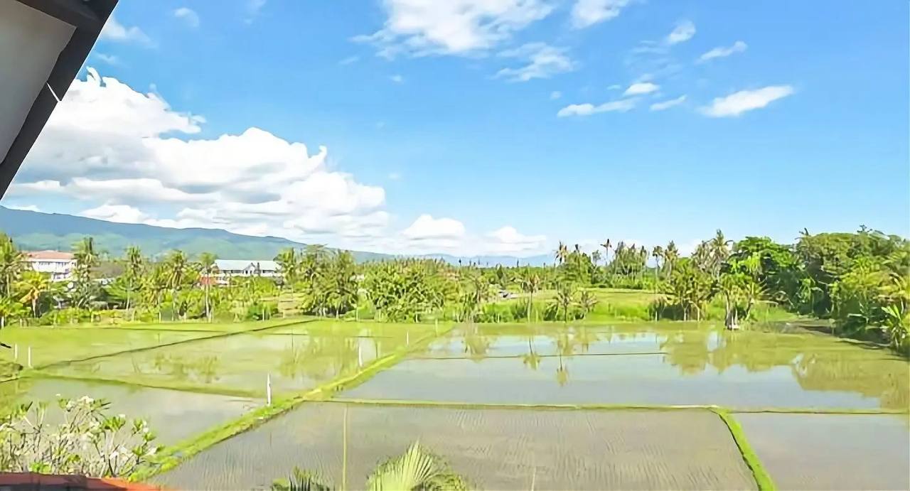 Отель, гостиница в Убуде, Индонезия, 1 010 м² - фото 3