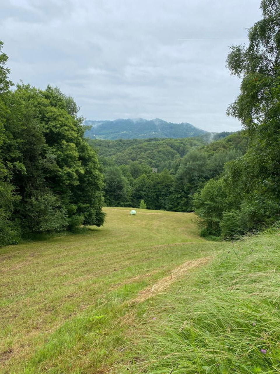 Квартира в Шентюре, Словения, 91 м² - фото 3