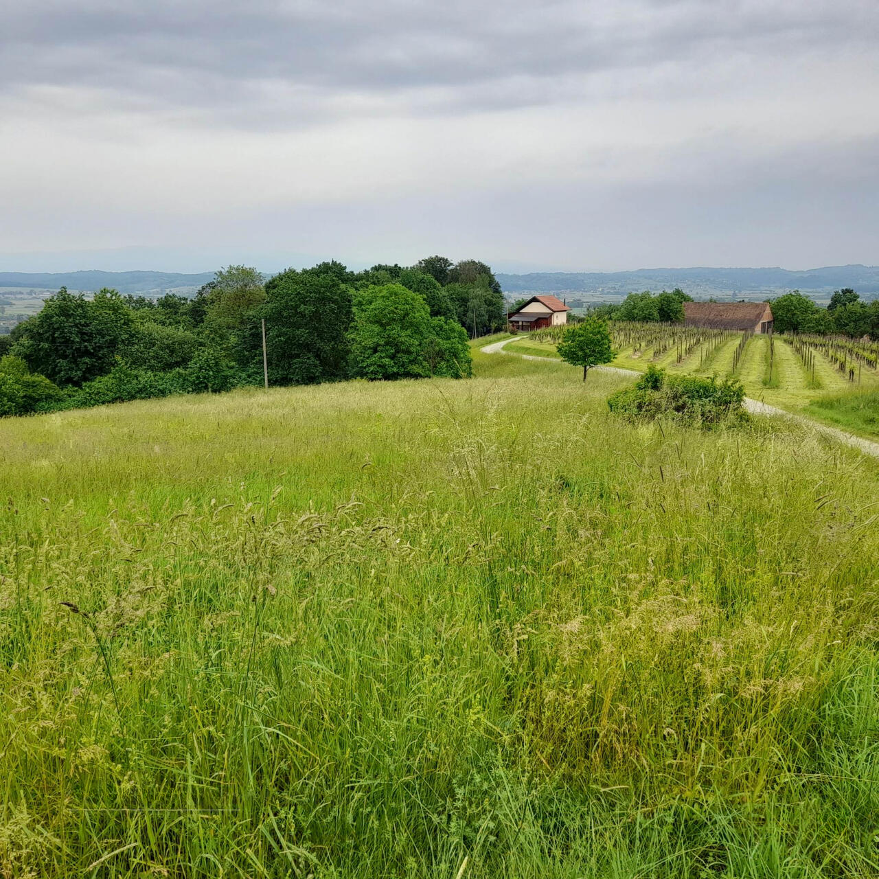 Квартира в Брежице, Словения, 70 м² - фото 4