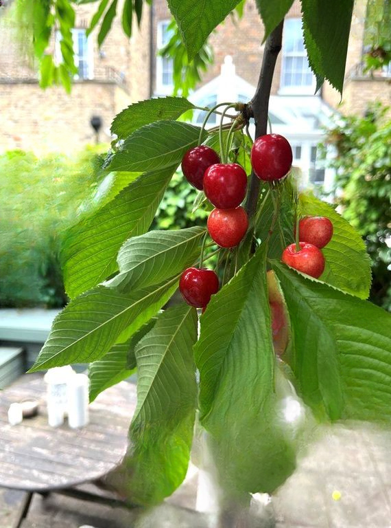 Квартира в Лондоне, Великобритания, 83 м² - фото 4