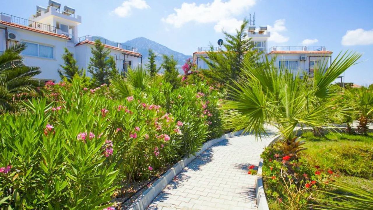 Апартаменты в Кирении, Кипр, 50 м² - фото 7