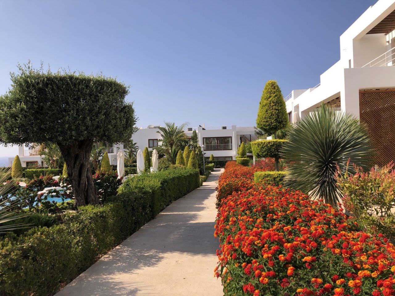 Апартаменты в Эсентепе, Кипр, 124 м² - фото 10