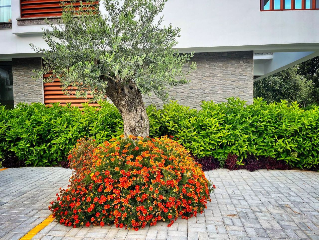 Апартаменты в Алсанджаке, Кипр, 99 м² - фото 15