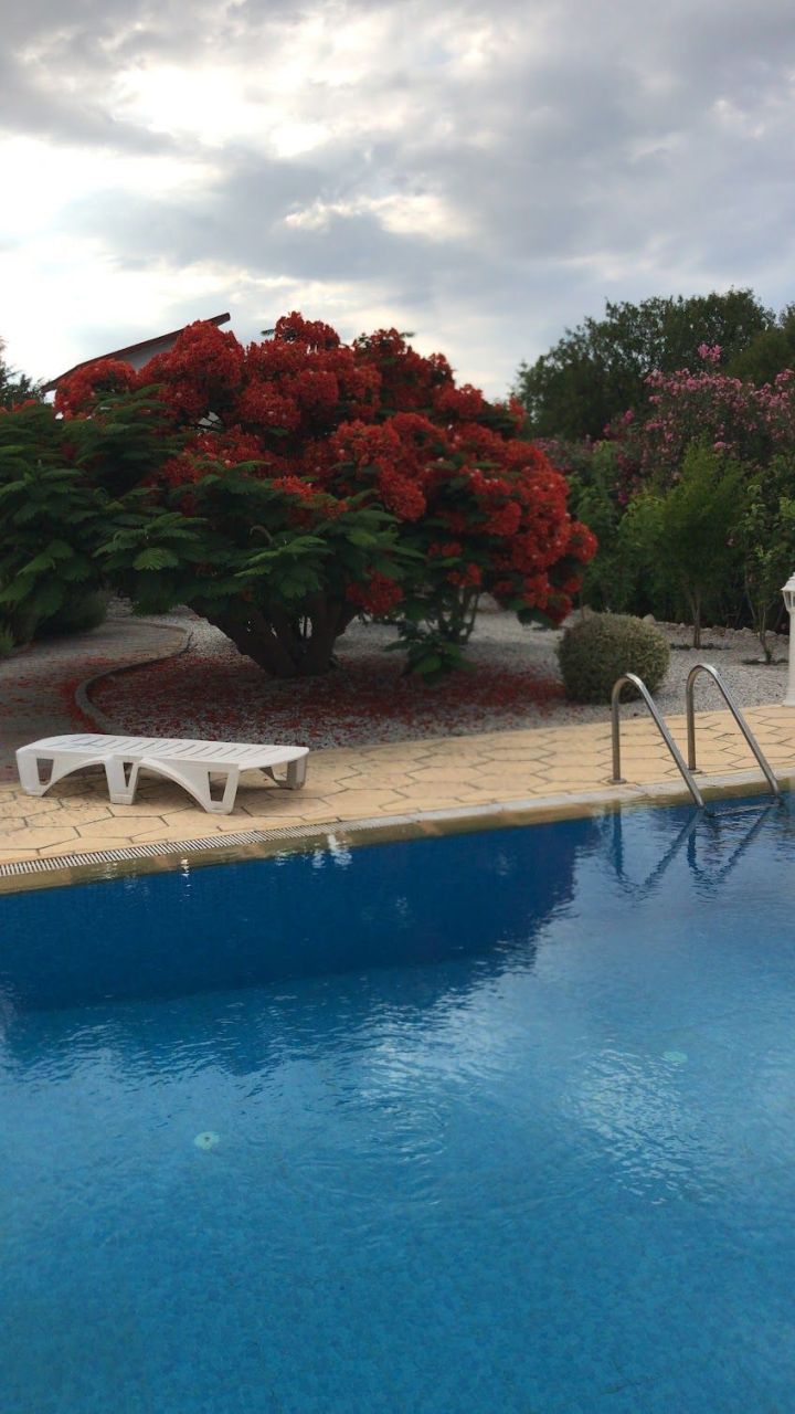 Вилла в Алсанджаке, Кипр, 220 м² - фото 16