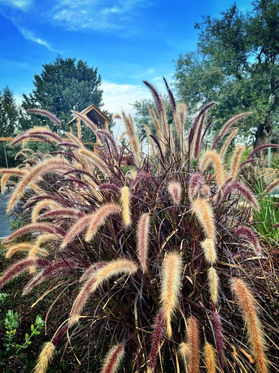 Апартаменты в Алсанджаке, Кипр, 99 м² - фото 16